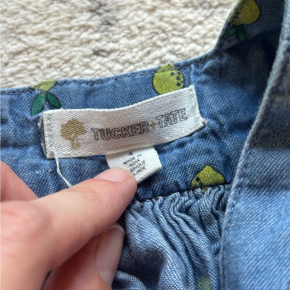 Tucker & Tate Lemon Print Flutter Sleeve Blue Chambray Peasant Dress Girls Sz 4 - Picture 2 of 6